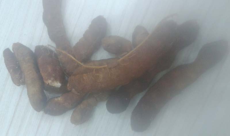 Tamarind With Seed