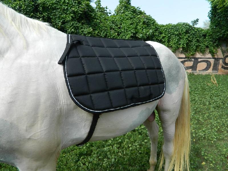 Drill Fabric VE-SP-001 Horse Saddle Pad, Color : Silver twisted cord