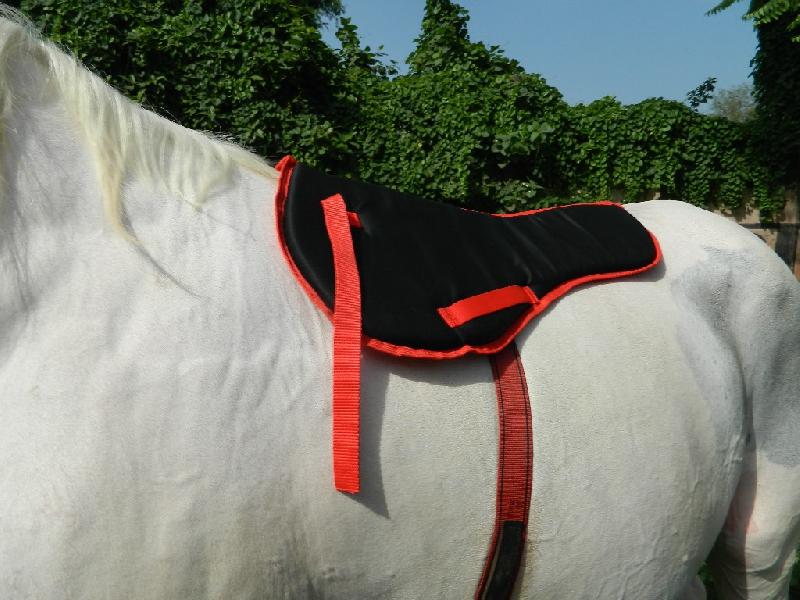 Drill Fabric VE-SP-009 Horse Saddle Pad