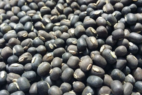 Black Matpe (Urad)