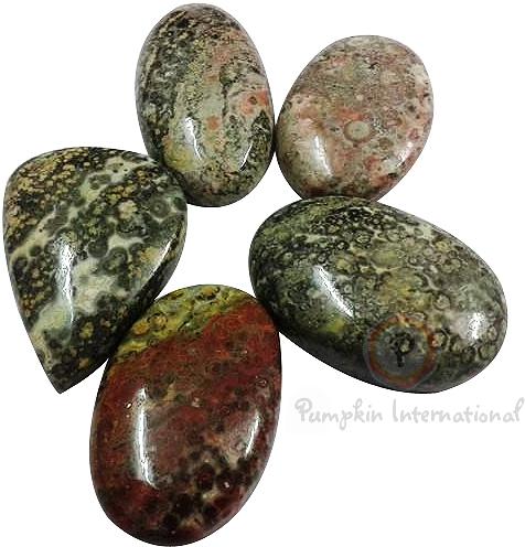 Pumpkin International Crazy Jasper Cabochons, for jewelry many more, Gemstone Type : Natural