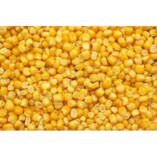 Frozen sweet corn, Packaging Type : Bulk