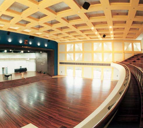 Auditorium Wooden Floorings