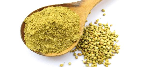 coriander powder