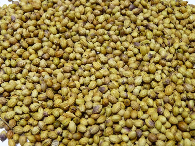 coriander seeds