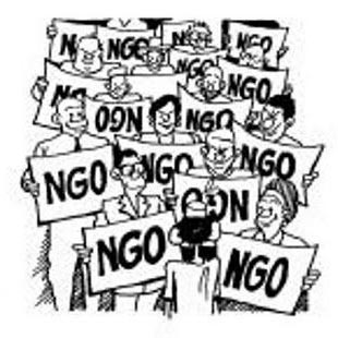 NGO Management Services