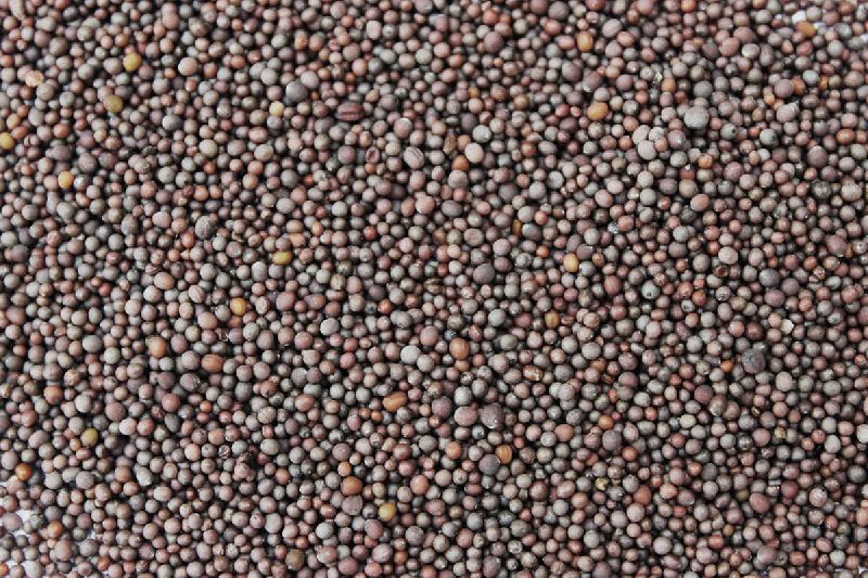 mustard seeds