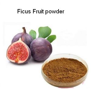 Ficus Fruit Powder