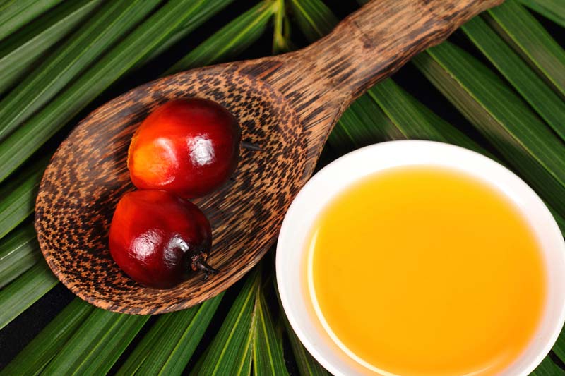 palm oil