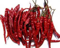 dried red chili