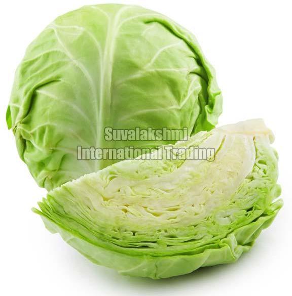 fresh cabbage