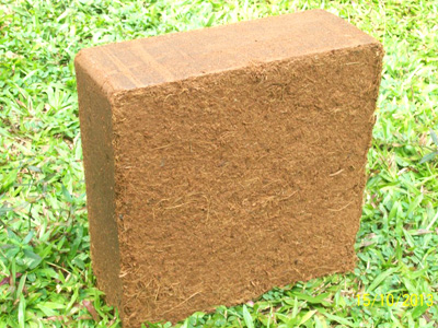 Low EC Coco Peat Blocks, Color : Brown