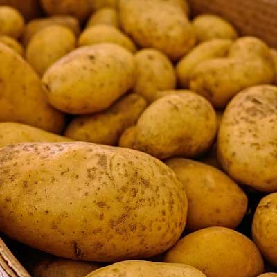 Bluebill international Potatoes fresh frozen, Certification : ISO