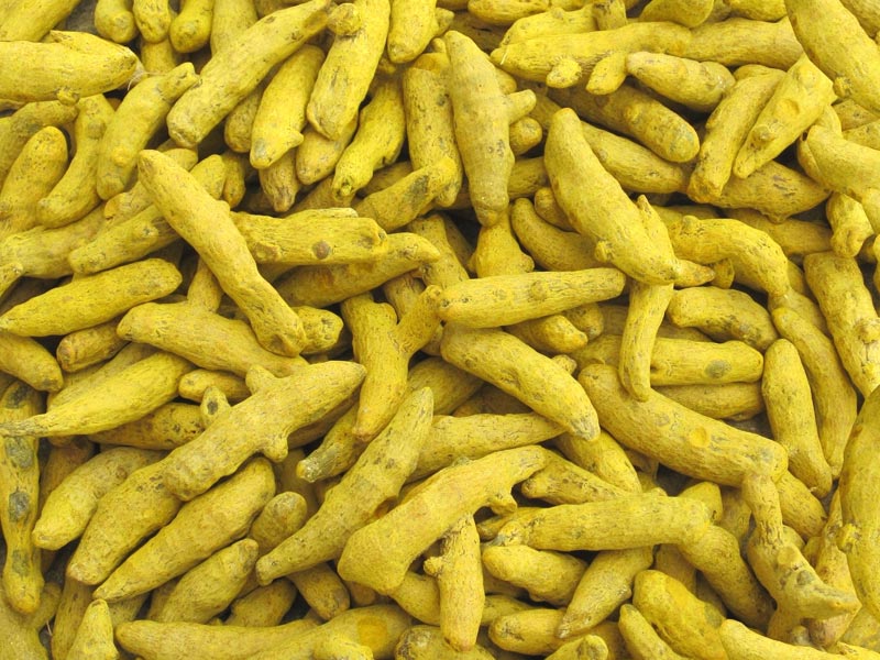 Turmeric finger