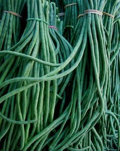 long beans dark green