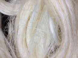 Sisal Fiber Manufacturer In Kenya By Emilius Trading Ltd Id