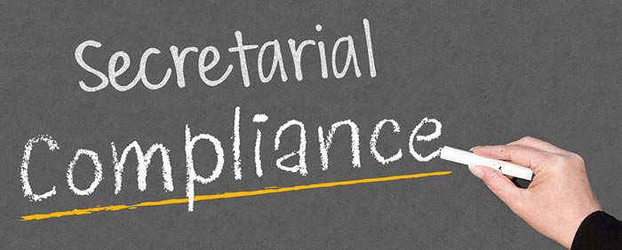Secretarial Compliance Services