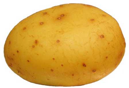 Potato - 01