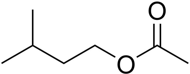 Iso amyl acetate, for Flavors, Perfumes, solvent nitrocellulose, in nail polish remover, CAS No. : 123-92-2