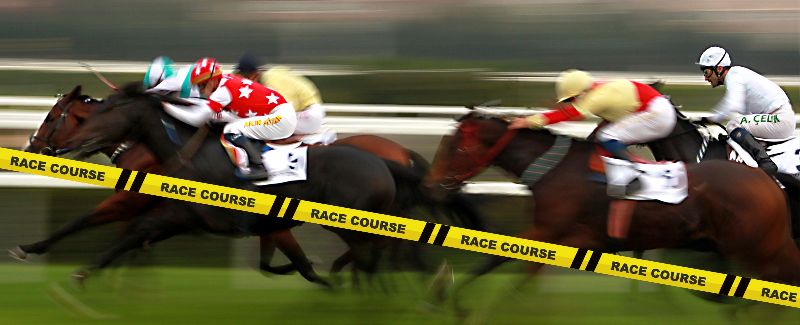 Hdpe /lldpe Race Course Barricading Tapes, Color : Orange, Black, Red, Blue, Green, Yellow, White Etc.