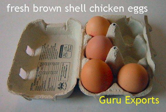 Brown Eggs, White Egg, Farm Fresh Egg, Table Egg, Poultry Farm Egg