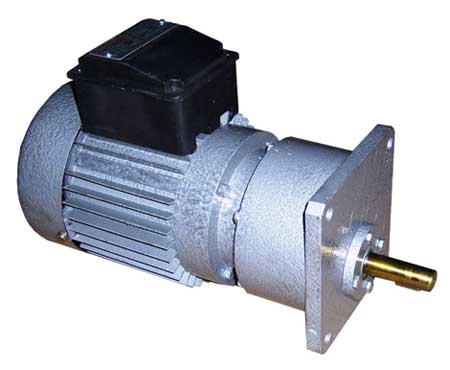 Spur Gear Motor