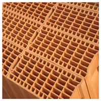 Hot FaceI insulation Bricks