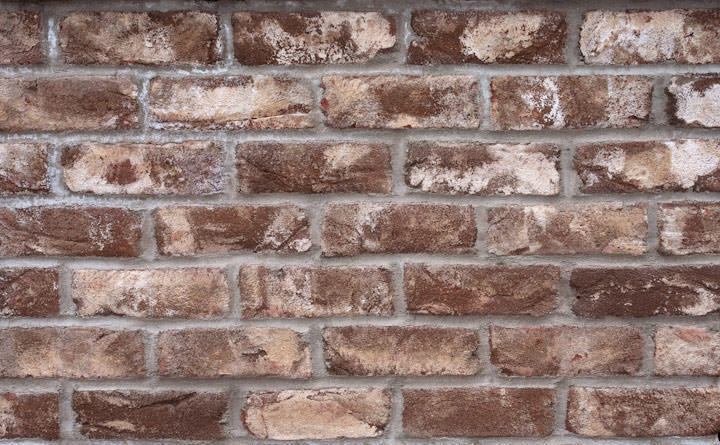 Old Carolina Brick