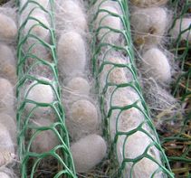 Sericulture Nets