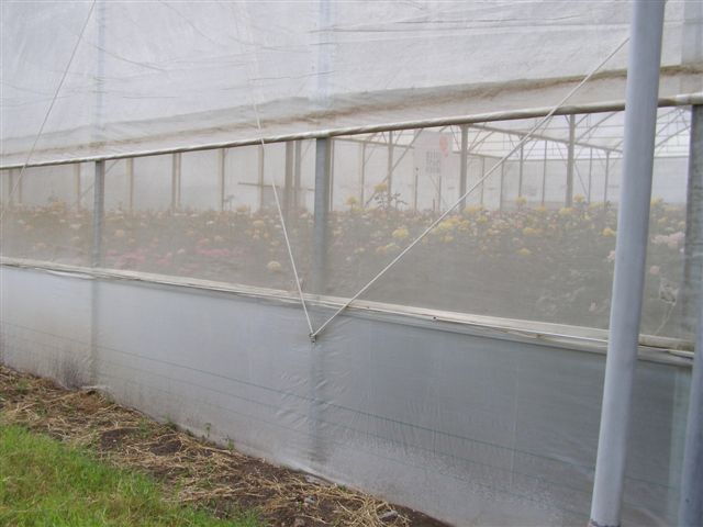woven insect net for net and green house