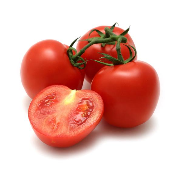 General fresh tomato, Packaging Type : on buyer's requirement