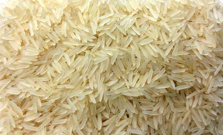 Solid general Golden Basmati Rice