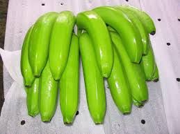 CLASSICAL CAVENDISH BANANAS