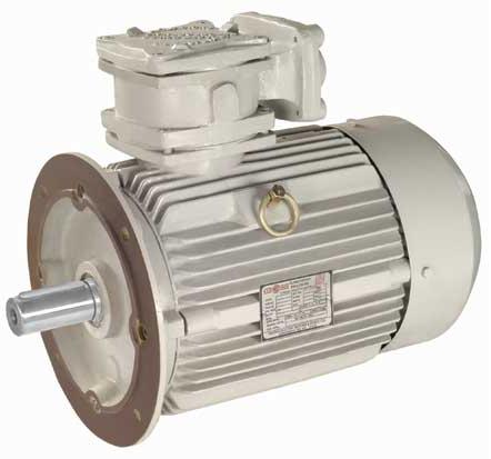 Increased Safety Motor