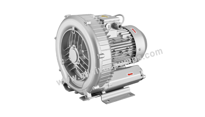 Ring Vacuum Pumps and  Blowers