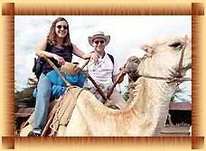 camel safari tour services
