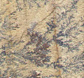 Fossil Sand Stone