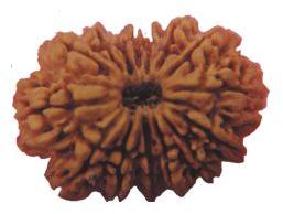 M15 MUKHI PASHUPATI