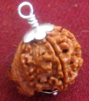 Nepali Rudraksha Bead M23 GANESH