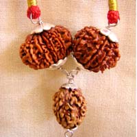 PP12 RUDRAKSHA FOR PROTECTI