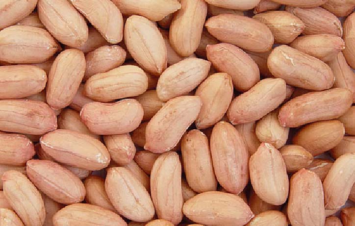 Buyer Brand Peanut Kernels, for Edible Oil, Nutritious Food