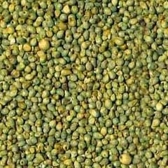 Buyer Brand Commom Millet Seeds, Color : Green, Yellow, Pearl