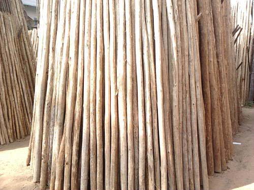 Round Non Polished Wooden Poles, for Home, Pattern : Plain