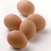 Fresh Chicken Eggs