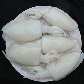 Frozen Squid Fish, Certification : HAACP, Health certified