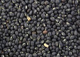 Organic Black Gram Beans