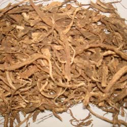 Coleus Dry Roots, for Medical Use, Packaging Type : 25Kg, 50Kg