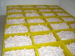 Grade A Processed Frozen Chicken Paws