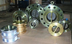 Dual Plate Check Valve