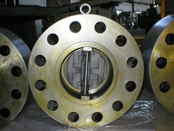 Wafer Check Valves